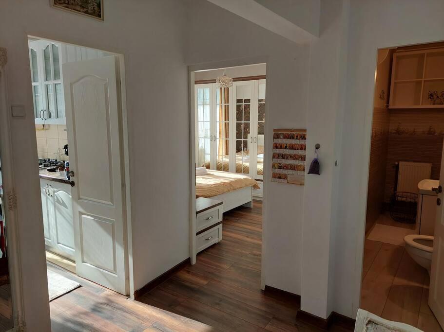 Apartament In Sighetu Marmatiei Apartman Kültér fotó