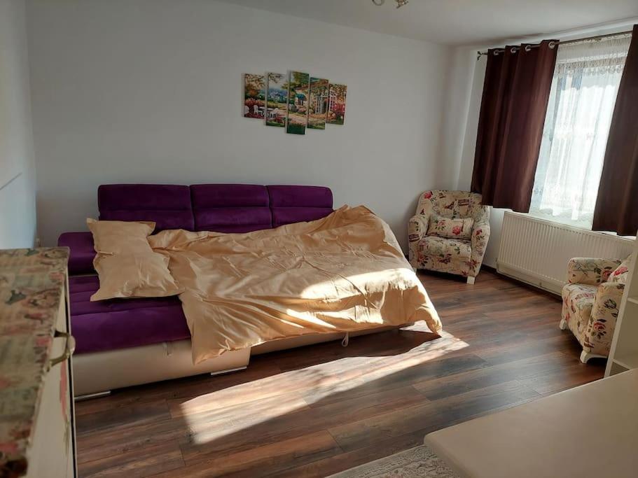 Apartament In Sighetu Marmatiei Apartman Kültér fotó